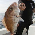 岡山遊漁船釣果【11月04日中潮】一つテンヤ(アコウ・マダイ狙い)で太刀魚も上がる!?